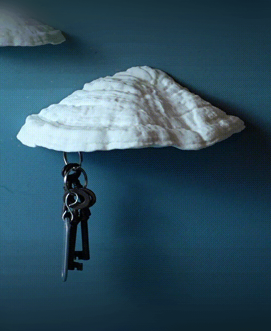 Mushroom magnetic key holder “Ganoderma Carnosum” 3d model