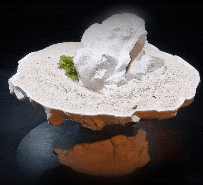 Aquarium & Terrarium Rock form Cave Decor | Natural Fish Tank Shelter | Reptile and Amphibian Hide 3d model