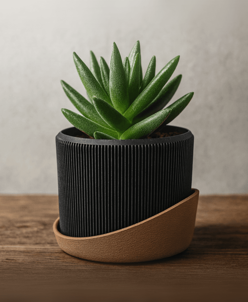 LINEUP PLANTER (WITH DRIP TRAY OR WITHOUT) / HOMEGARDEN / MODERN HOMEDECOR 3d model