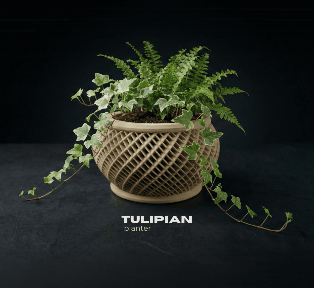 Tulipian Planter 3d model