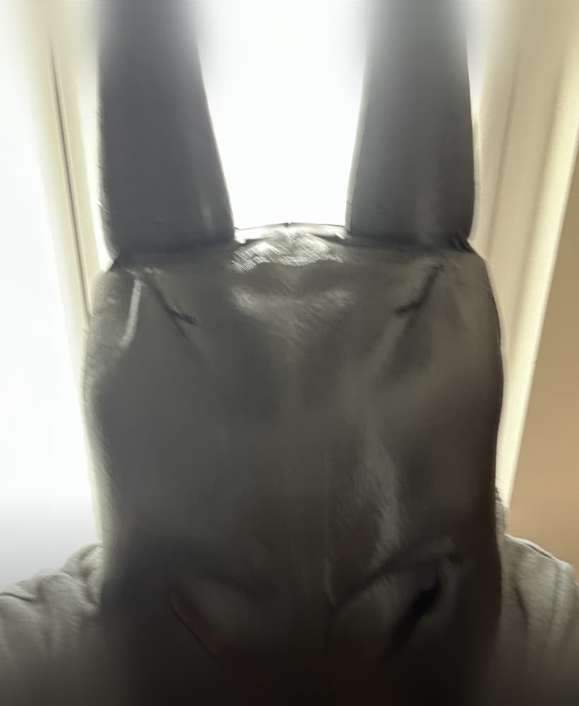 batman mask 3d model