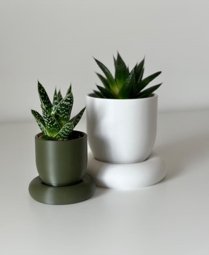RING planter 3d model