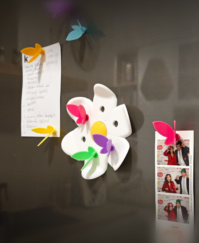 Butterfly magnets 3d model