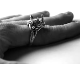 Rhino Ring 3d model