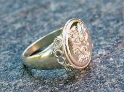 Griffin Ring Size 10 3d model